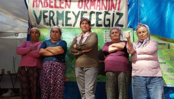 Akbelen Ormanını Vermeyeceğiz!!!