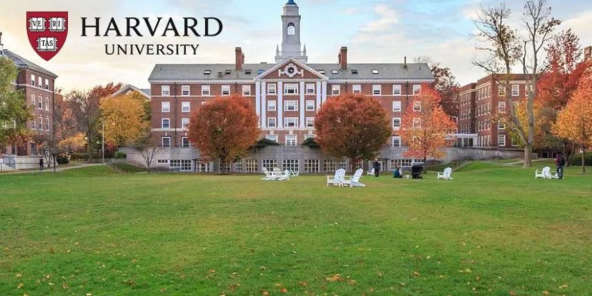 Harvard araştırdı... Mutluluğun sırrı: Ne para ne genetik avantaj...
