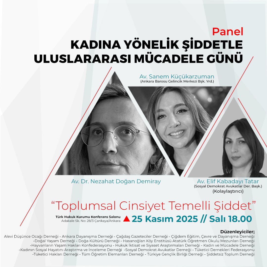 17 Demokratik Kitle Örgütü, Kadına Yönelik Şiddetle  Uluslararası  Mücadele  Günü’nde Panel Düzenliyor