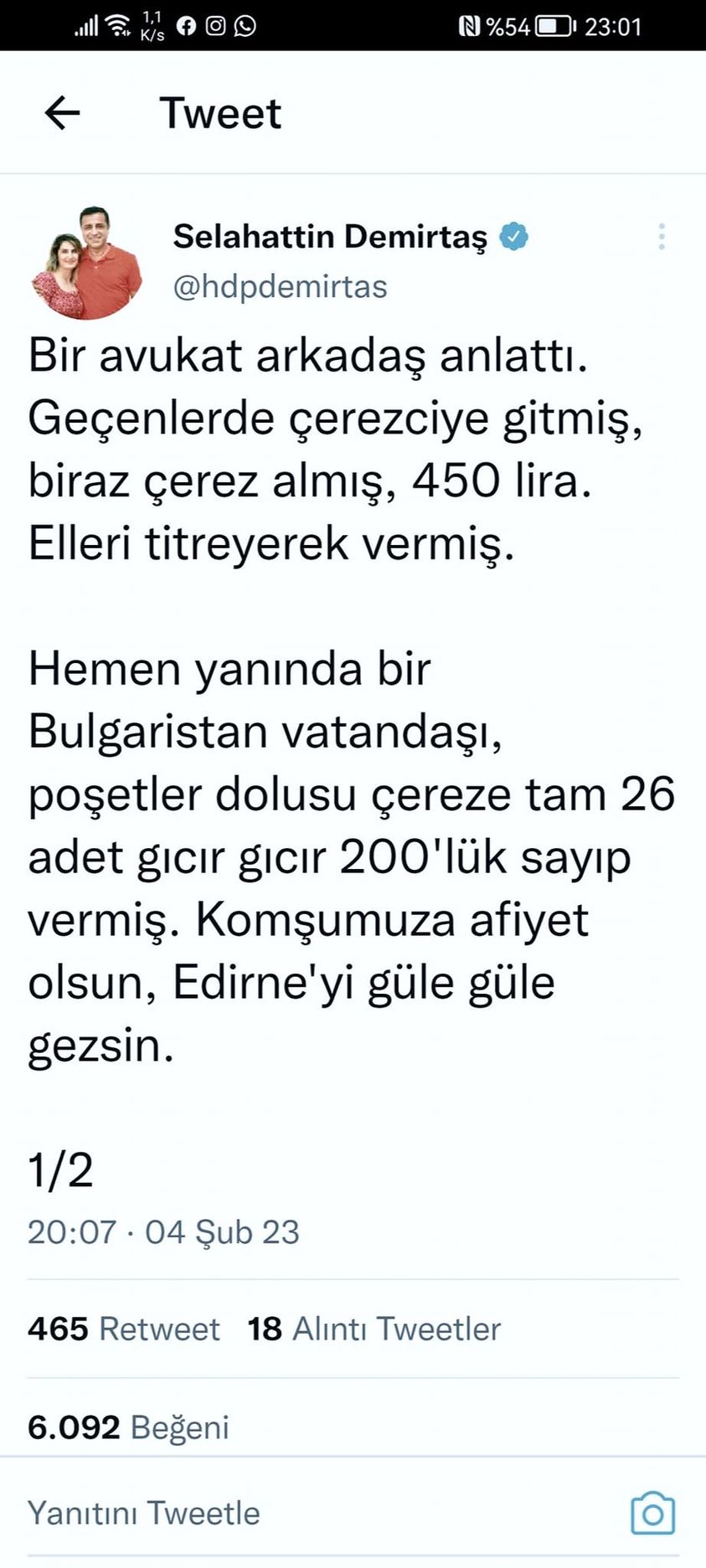 SELAHATTİN DEMİRTAŞ