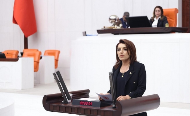 CHP’Lİ GÜLCAN KIŞ: ÜNİVERSİTE KAZANAN ÖĞRENCİLERİ BARINMA KRİZİ BEKLİYOR...