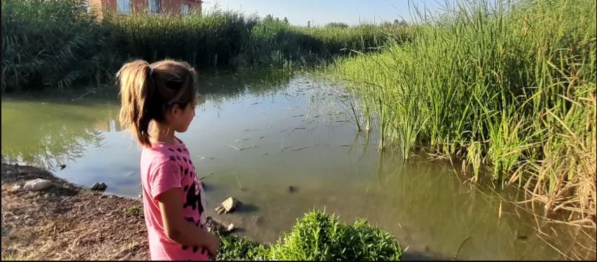 Urfa'da Tamamlanmadan Açılan Sulama Projesi 6 Köyü Bataklığa Çevirdi
