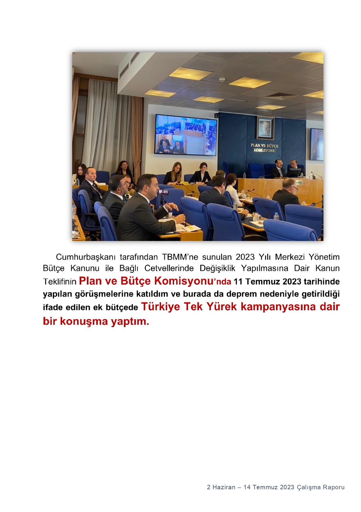 TBMM U_ Akdoğan 43 g&uuml;nl&uuml;k &Ccedil;alışma Raporu_page-0008